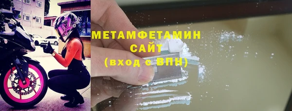 прущие грибы Балабаново
