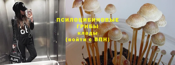 PSILOCYBIN Арсеньев