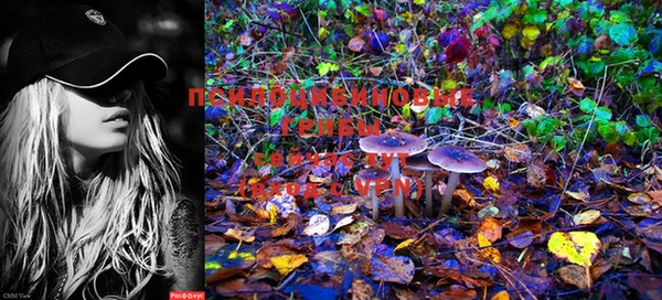 марки lsd Аркадак
