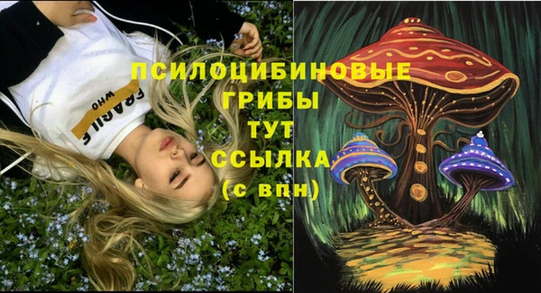 PSILOCYBIN Арсеньев