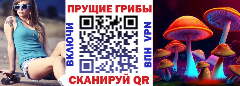 Псилоцибиновые грибы Cubensis  что такое наркотик  Сосновка 